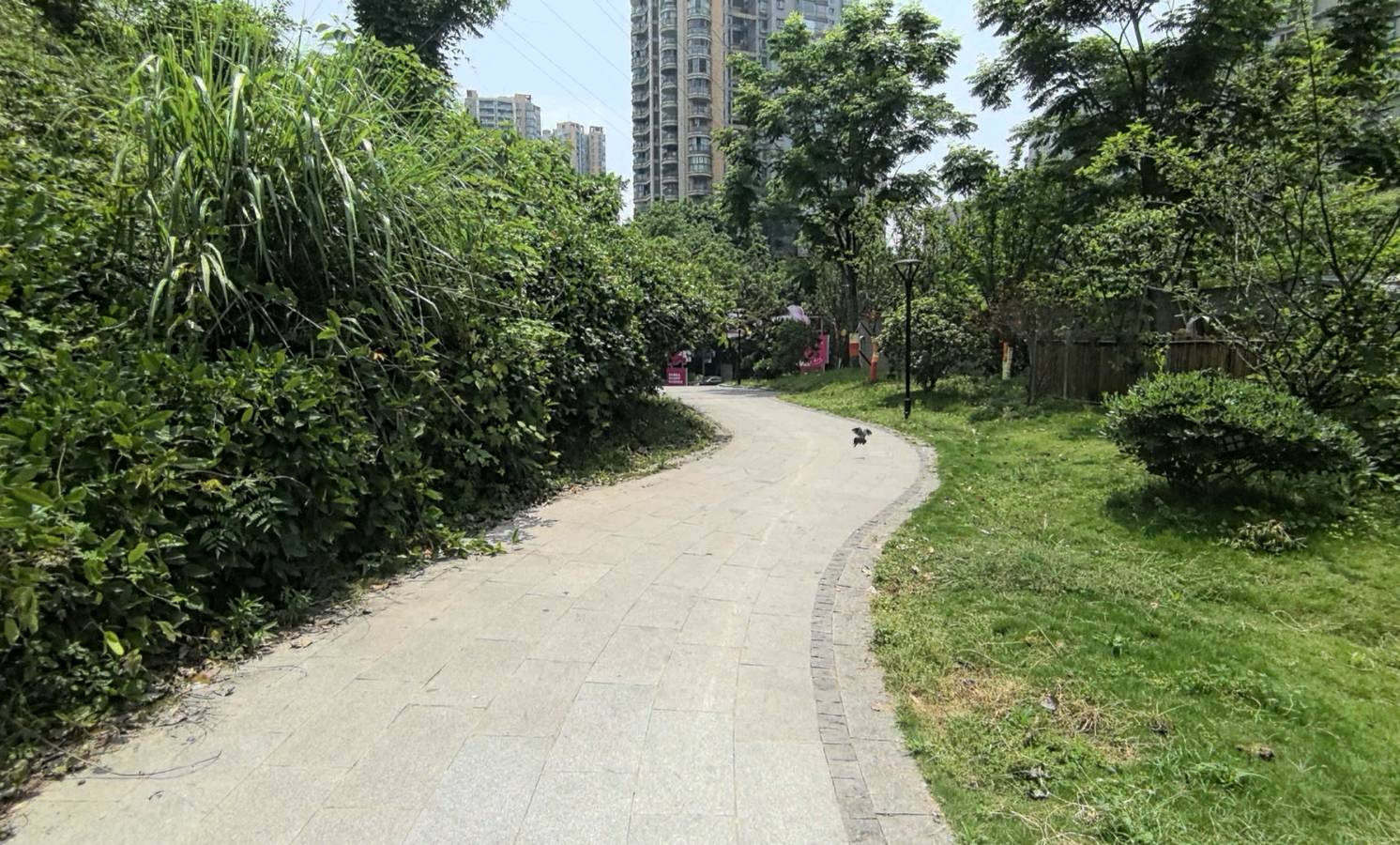 「散文」夏日午后的“铜元之光”（图3）