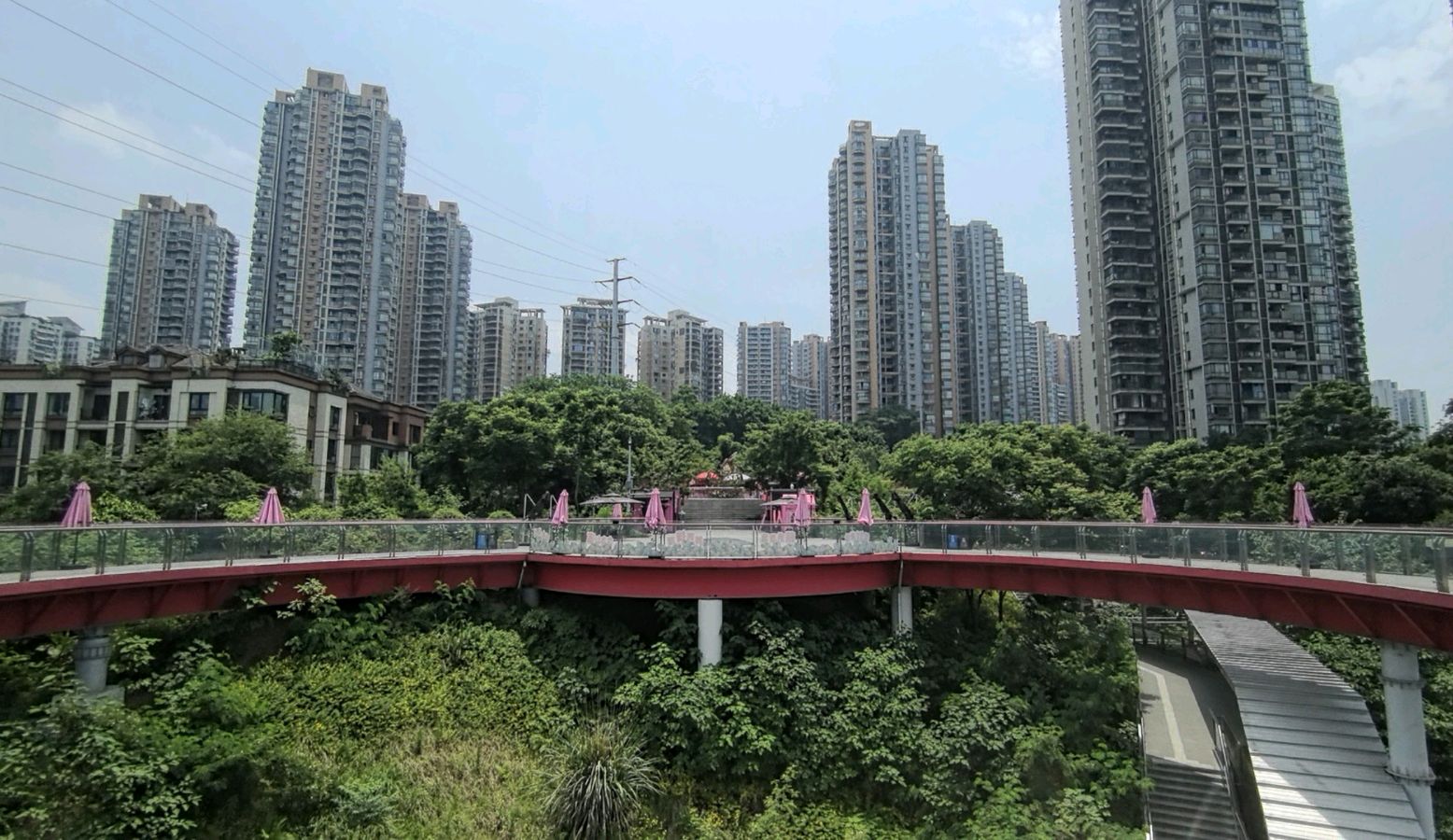 「散文」夏日午后的“铜元之光”(图24)