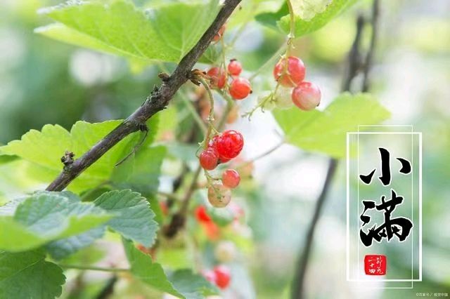 【荣耀中国】七绝·小满何筱燕(雨.湖南)（图4）