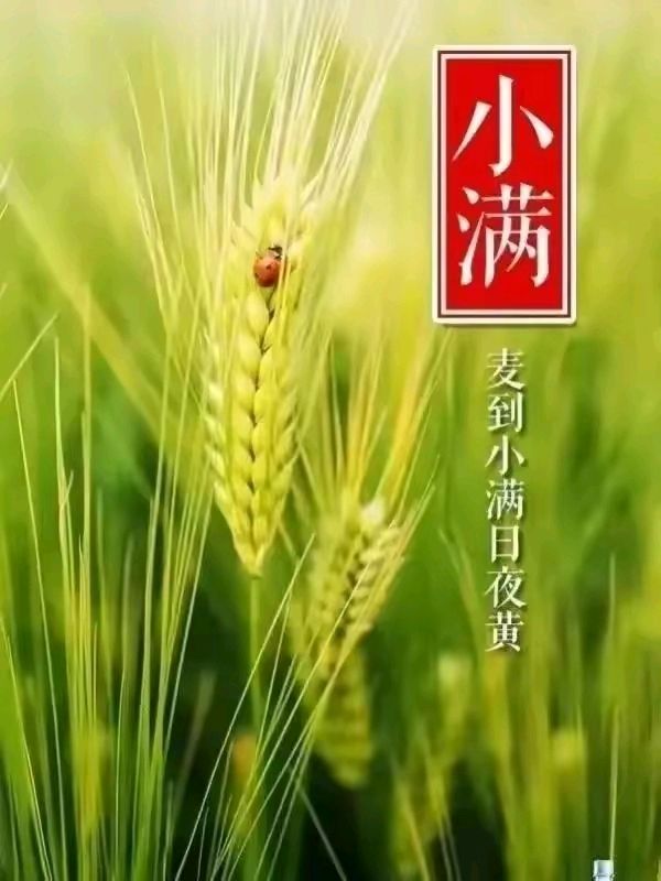《现代诗人涧石现代诗及现代古诗词鉴赏》作者：涧石 [中国现代诗歌文化传媒推荐]（图13）