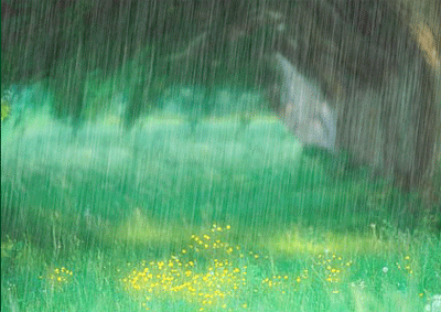 落雨成诗～诗◑白印良（图11）