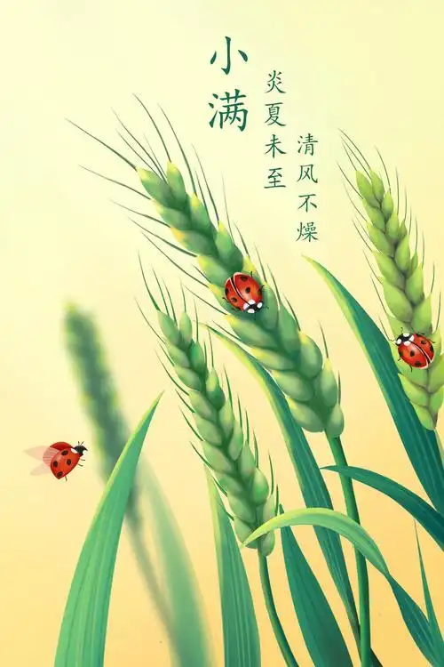 捣练子*小满节令有句(外一首) 作者:金夜（兰州）（图2）