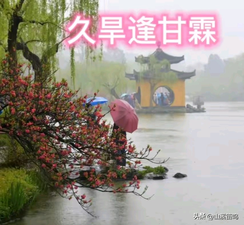 《甘霖领》作者：回泉山人 诵读：吴涵伟 [中国现代诗歌文化传媒推荐]（图6）