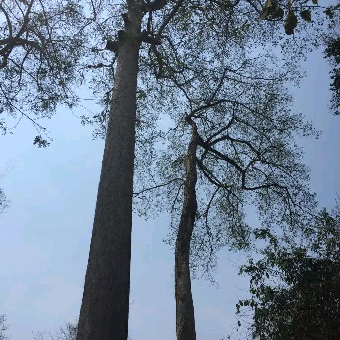 《紫檀扣》作者：管泽富 诵读：吴涵伟 [中国现代诗歌文化传媒推荐]（图6）