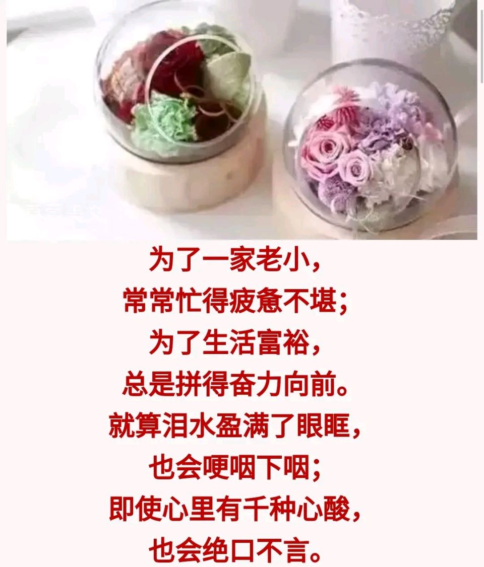《谁一生不是在忙碌》作者：东方即白 [中国现代诗歌文化传媒推荐]（图6）