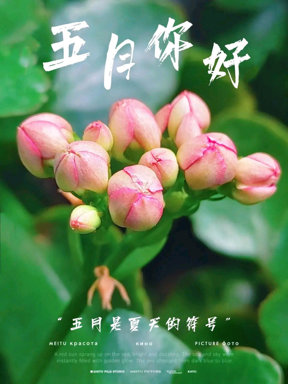 《涧石现代诗人创作现代古诗及现代诗》作者：涧石 [中国现代诗歌文化传媒推荐]（图11）