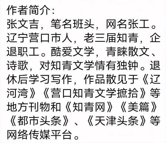 七律·思乡 作者:张文吉（图6）