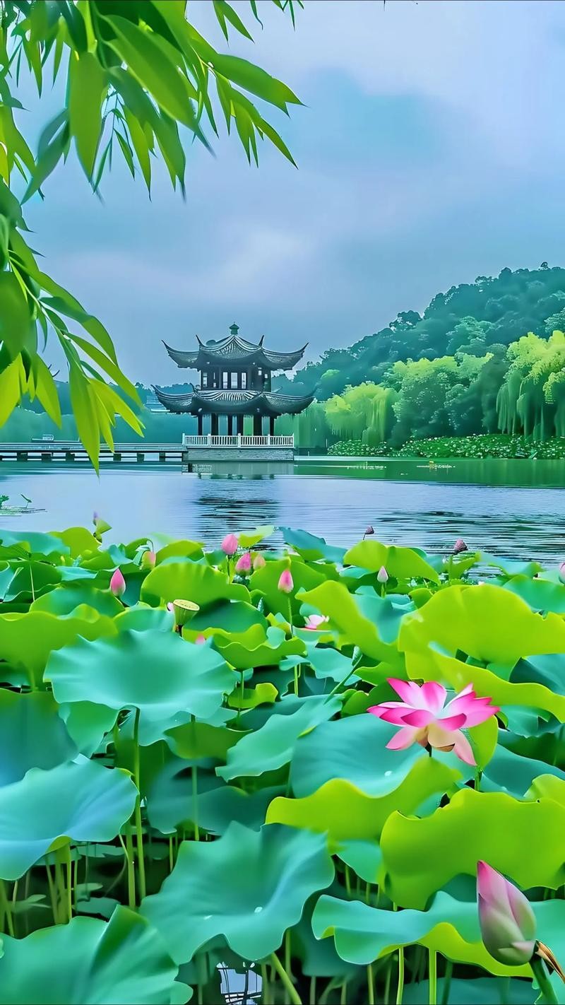 【枫雅汇看图约诗】诗人王书成《09期》个人诗词专辑(图19)