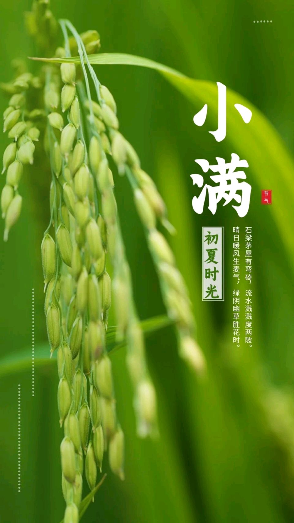 聆听 ‖ 同题诵读《小满》作者/王大生 朗诵/杨瑞红 铃铛 水凌凌 心兰 高愉小苹 桂芬 昕缘 东篱秋色（图12）