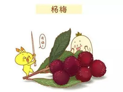 小甥女玥玥吃杨梅（文/邹晓华）……莲叶之珠文学社（图4）