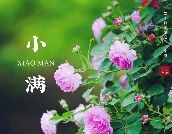 【新诗大观】写在小满的诗||作者：李志亮||朗诵：文嘉（图2）