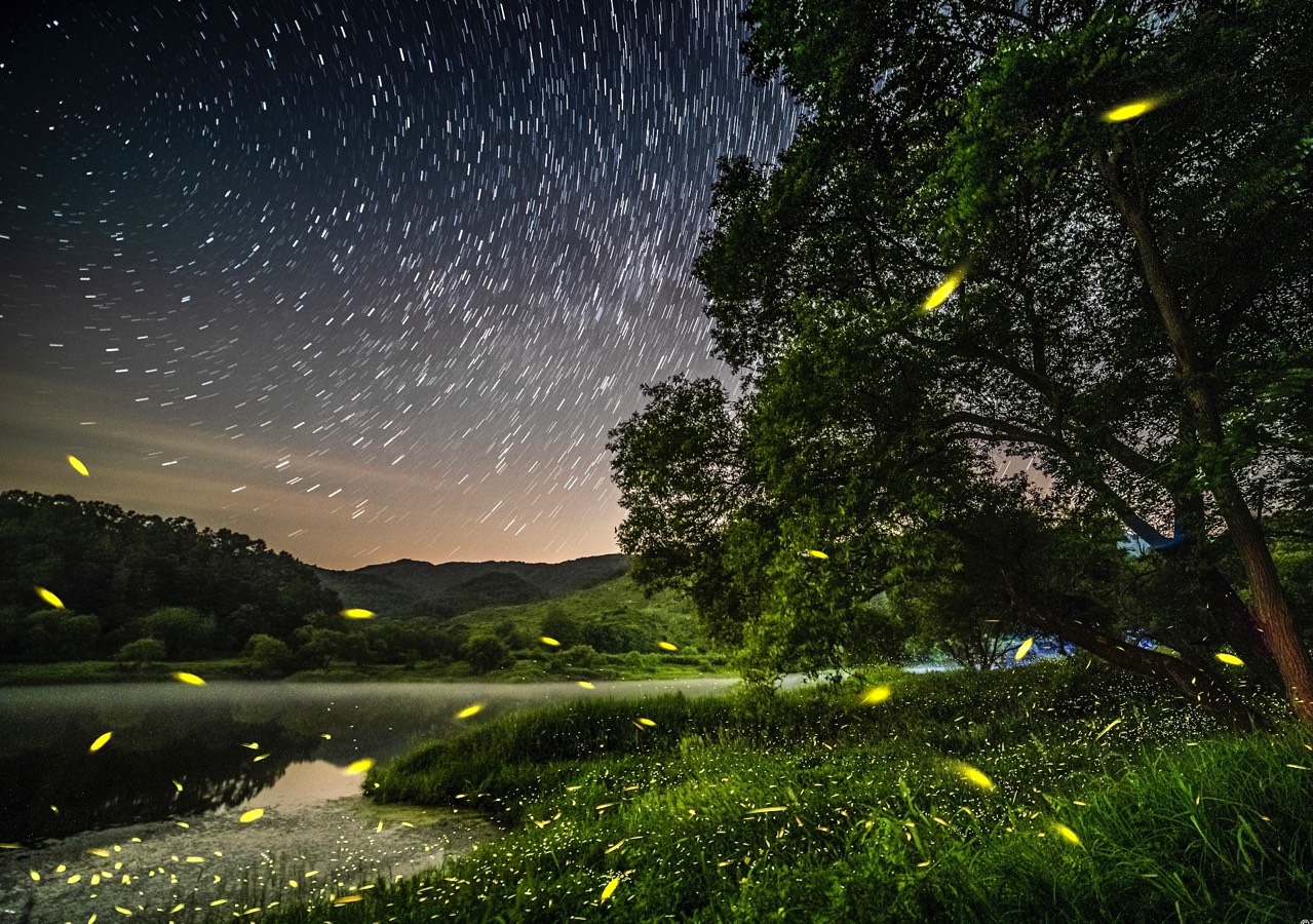 【新诗大观】写在夏夜的诗（五首）||作者/李志亮||朗诵/文嘉（图3）