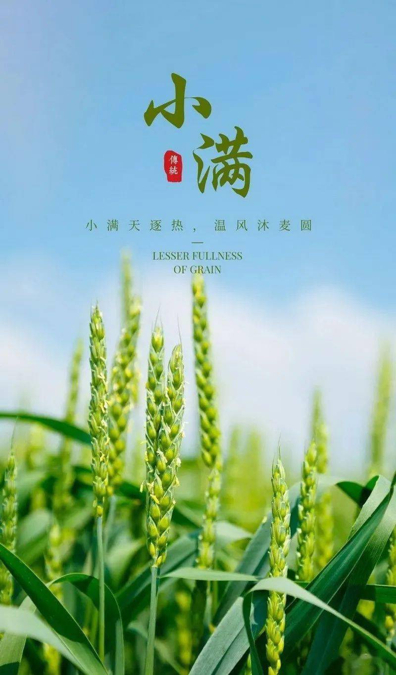 陈伟超仲夏诗二首_南海特区头条（图2）