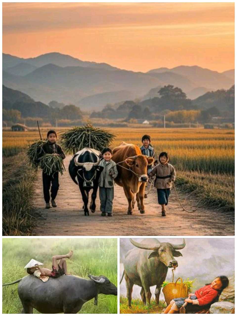【重磅推出】黄黎 何华//记忆里的乡愁（图10）