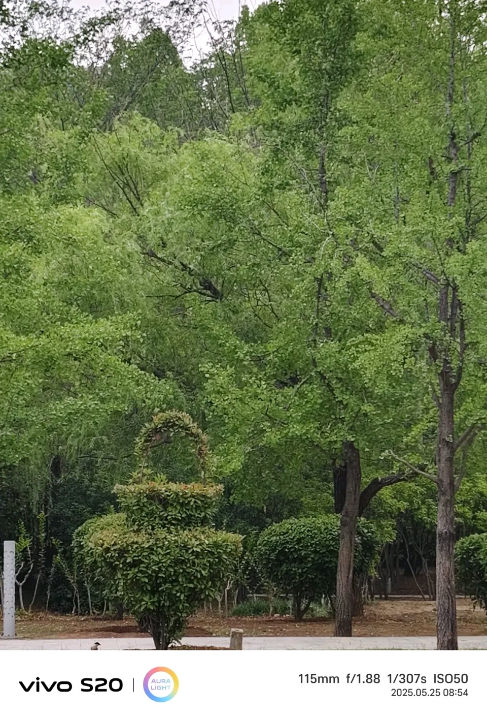 《郭小林现代诗古诗词鉴赏》作者：郭小林 [中国现代诗歌文化传媒推荐]（图7）