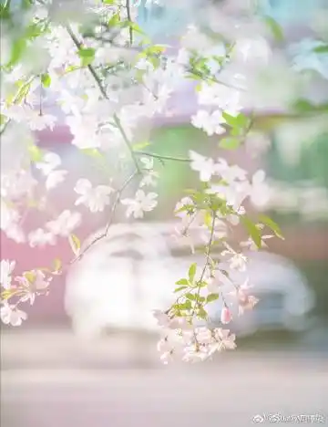 端午节偶成(外二首) 作者:金夜（兰州）（图2）