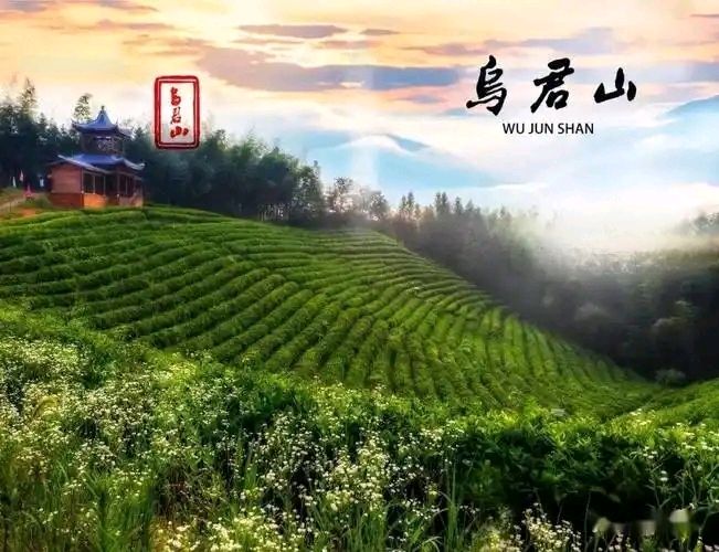 七律-春题乌君山（外一首）诗◑白小文（图11）