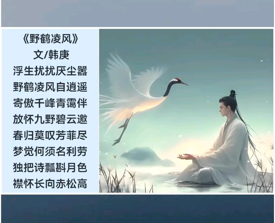 韩庚的《野鹤凌风》