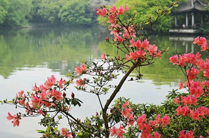 【墨香群英苑】五绝 善心仁爱慕文/南山翁（图3）