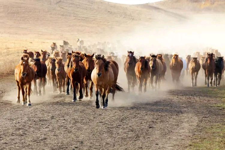 第四届茅盾文学杯全国文学艺术大赛:王明兴入围作品展(图12)