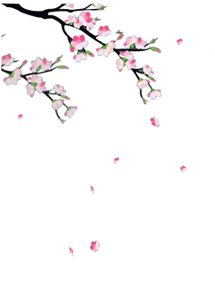 鹧鸪天-落花～词◑刘哲侬（图13）