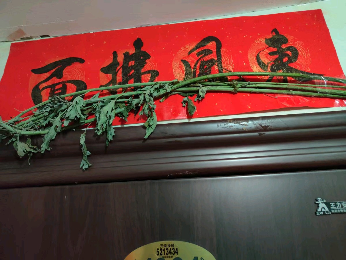 陕西作家孙旭升 《端午碎语》（图7）