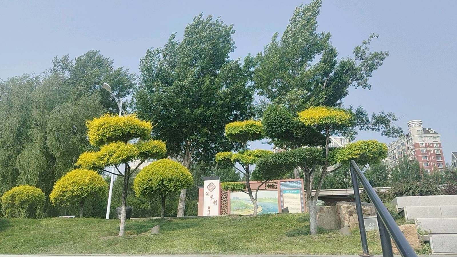 完美唱歌群庆六一活动视频图片展播（图11）