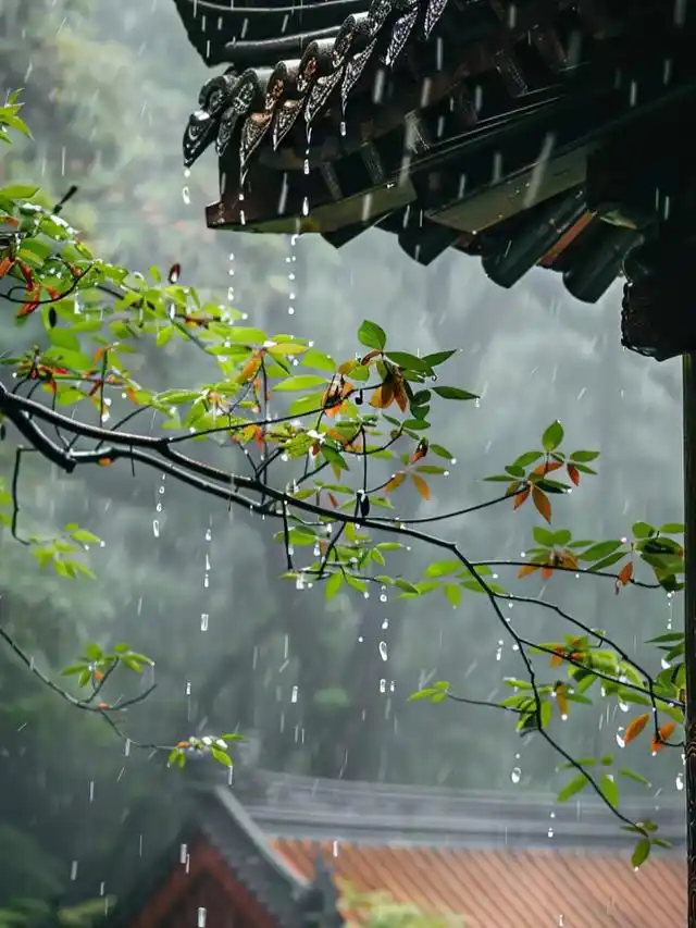 【华夏周刊】第241期合辑