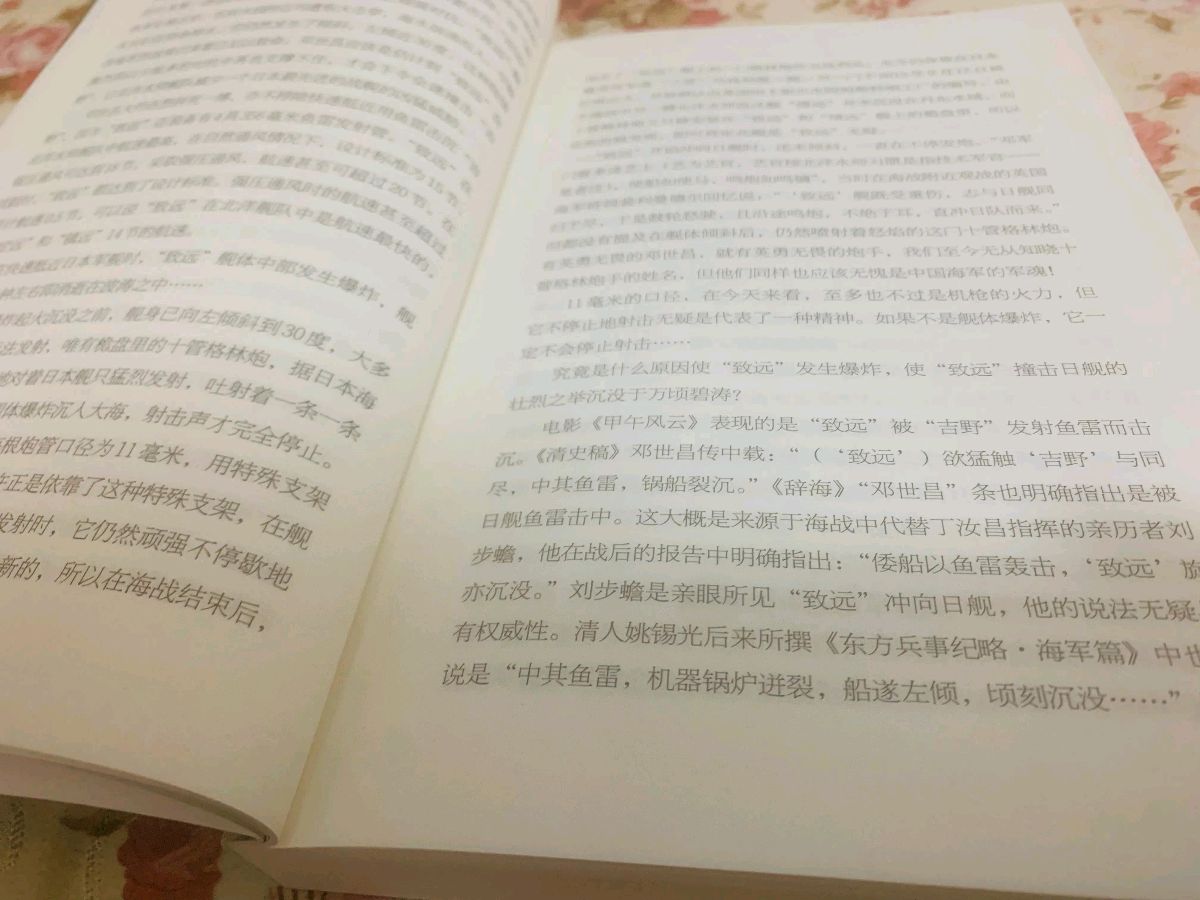 【荣耀中国】咏康乃馨戴德兴（吉林）（图4）