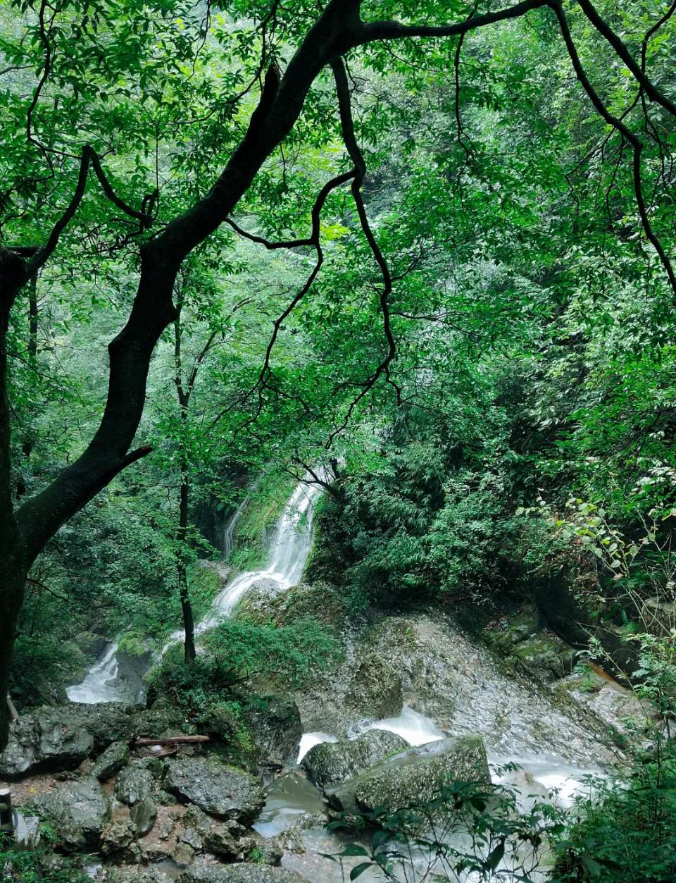 王金政的《雨后游山》