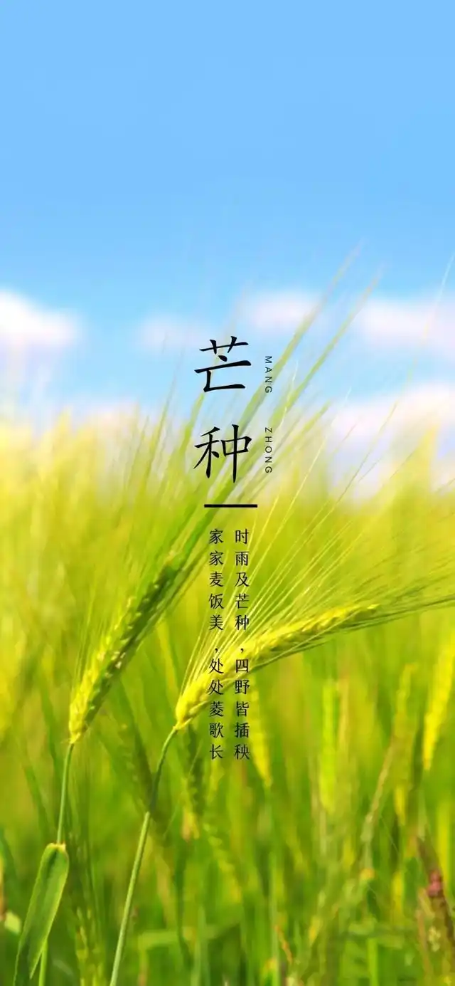 芒种吟～诗◑吴永良（图11）
