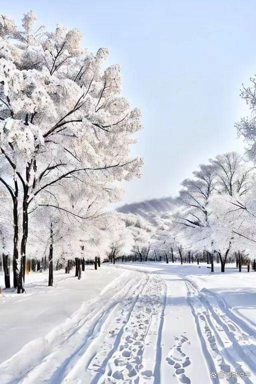 布衣诵读《我怀念北方的雪》 作者：碑林路人（图5）