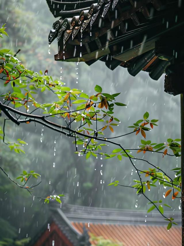同题诵《听雨》 作者：月下草（图10）
