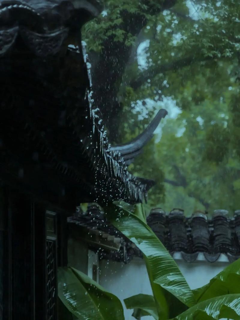 同题诵《听雨》 作者：月下草（图12）