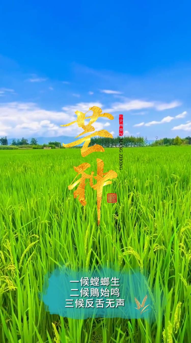 七律-芒种赋～诗◑杨景儒（图11）