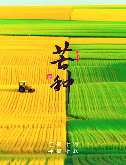 《七律 • 咏芒种》外一首/作者/吴云钦