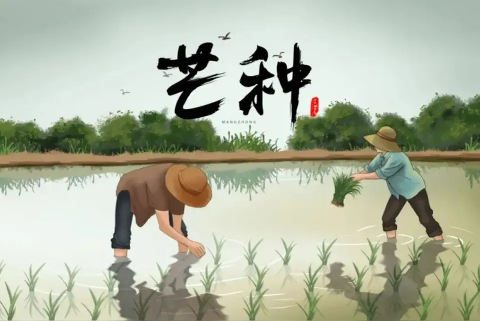 七律·乙巳芒种吟（文/邹晓华）……莲叶之珠文学社（图4）