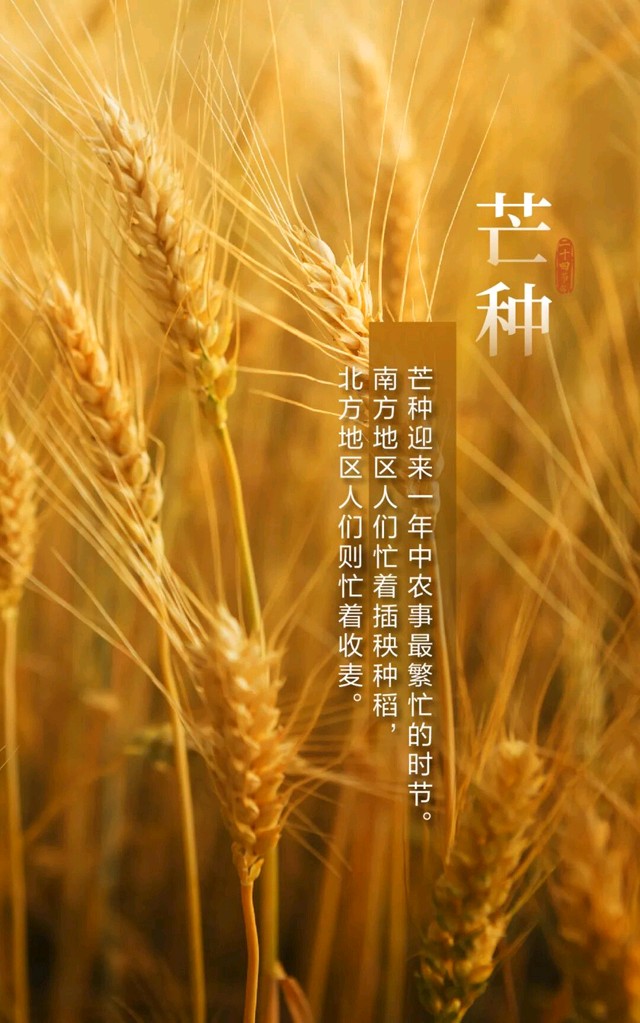 七绝-芒种～诗◑胡斌（桃花园君）（图10）