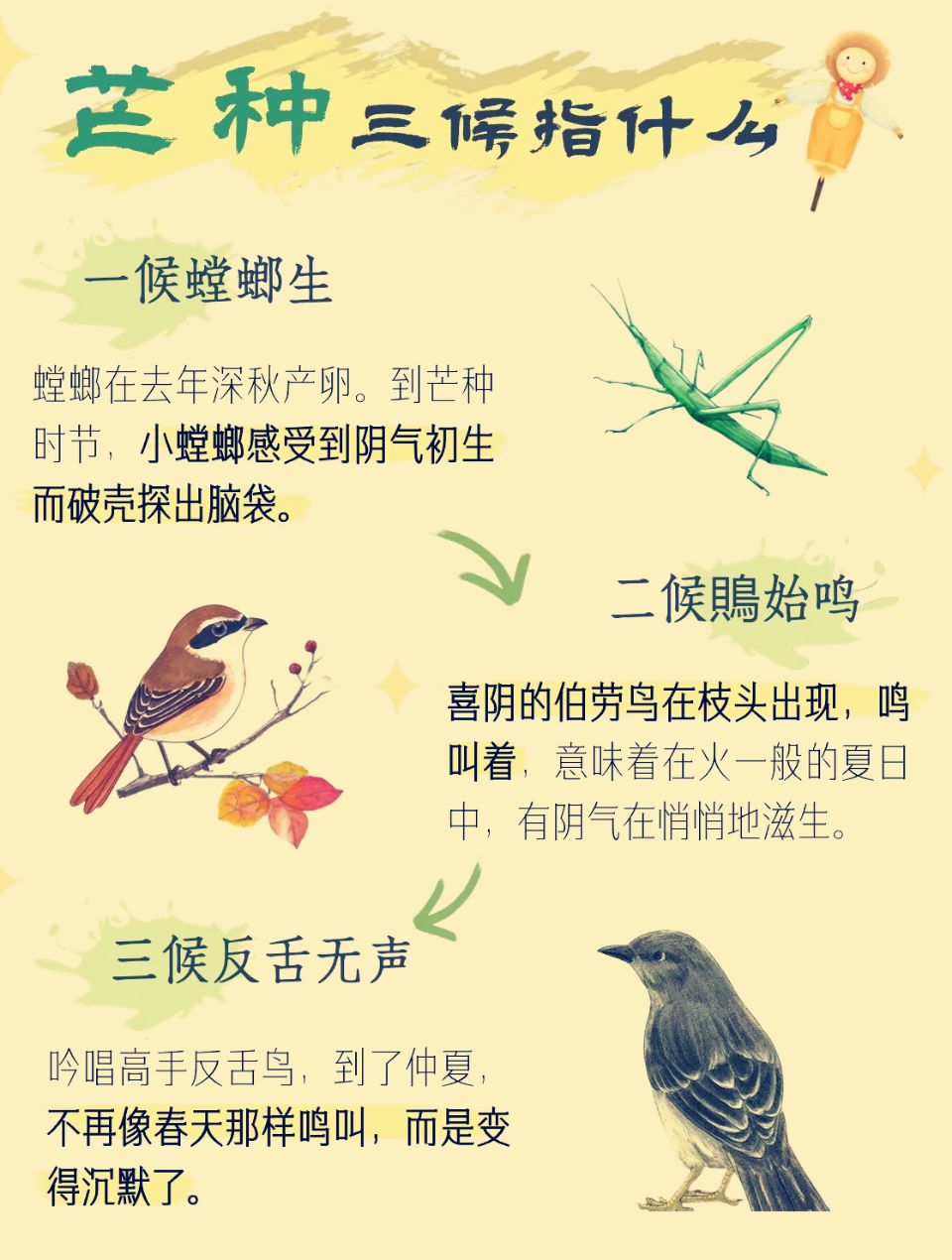 芒种（外一首）诗◑旗袍（图12）