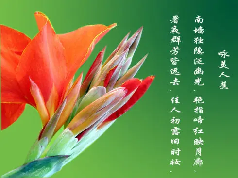 《著名现代诗人刘文波现代古诗七律赏析》作者：刘文波 [中国现代诗歌文化传媒推荐]（图7）