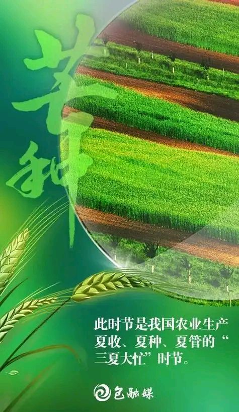 芒种‖巴彦诗词楹联协会【968】（图2）