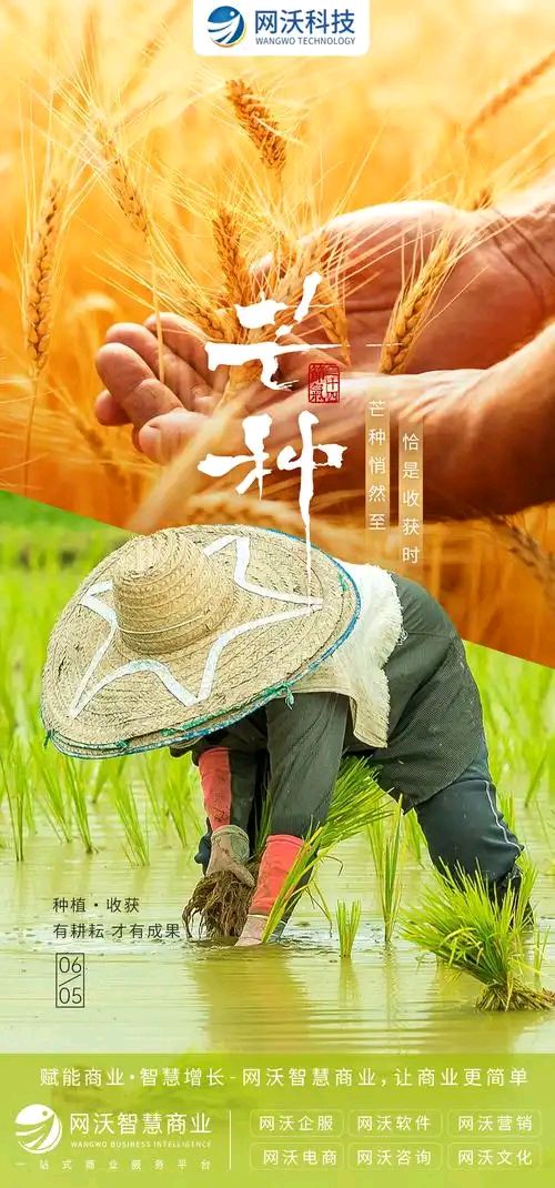芒种‖巴彦诗词楹联协会【968】（图4）