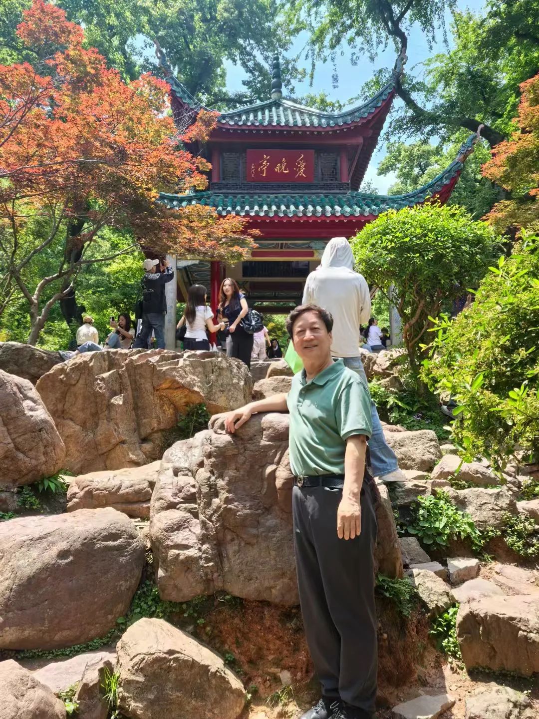 图片