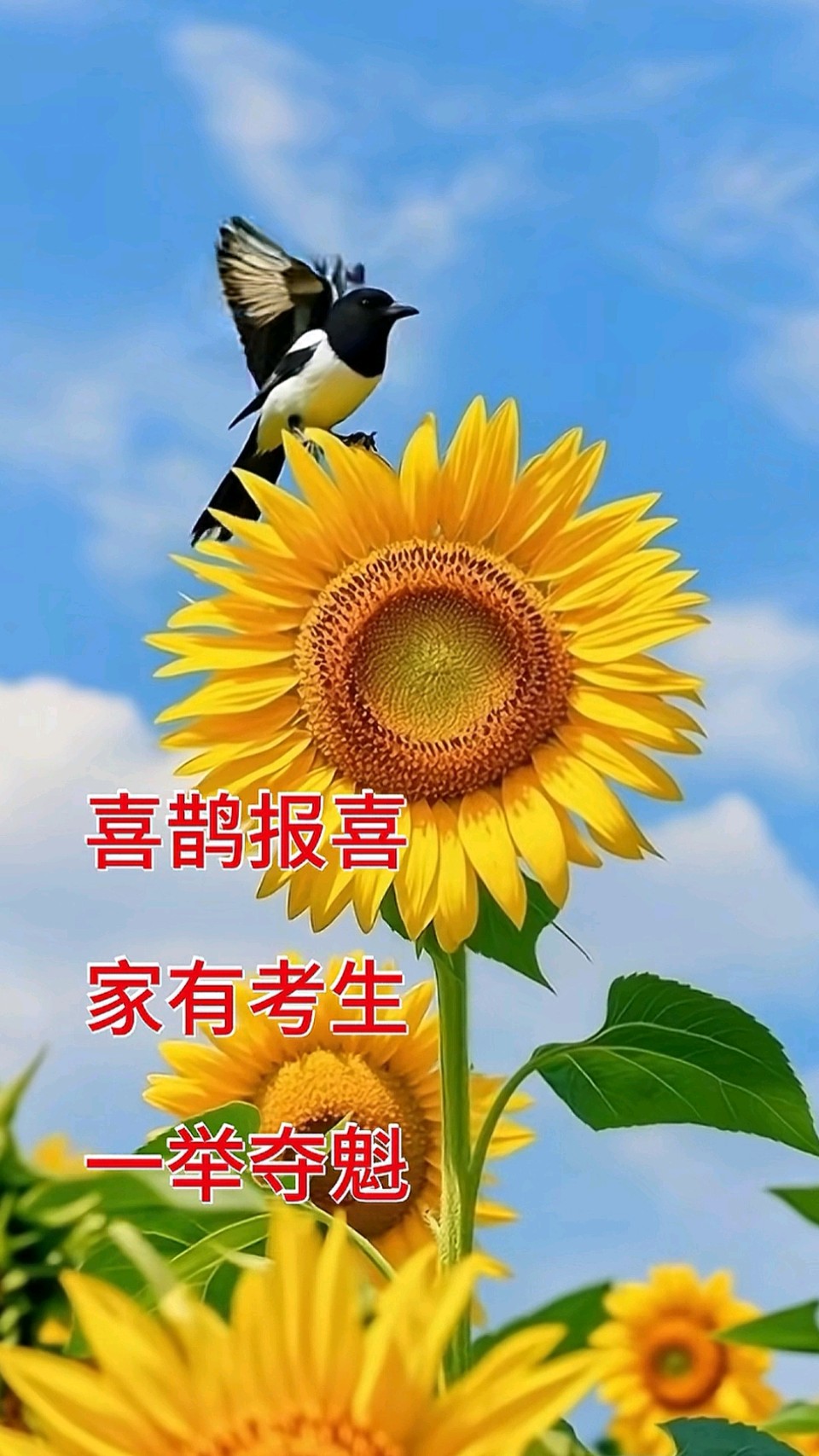 七律-高考旗开必胜～诗◑雅轩琴韵（图11）