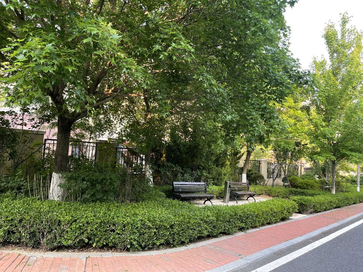 《行香子·岁痕》文/安曼（图6）