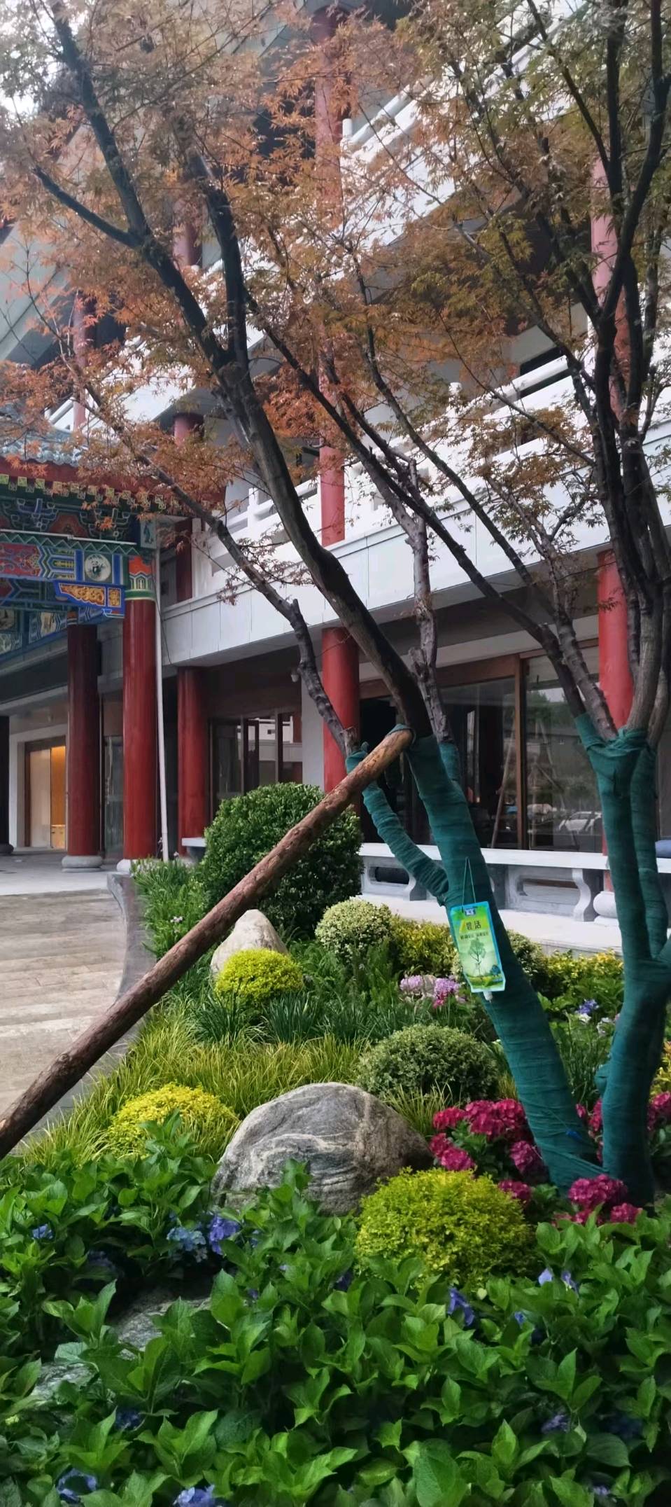 陕南华阳古镇四星宾馆朱鹮度假酒店即将开业迎宾（图2）