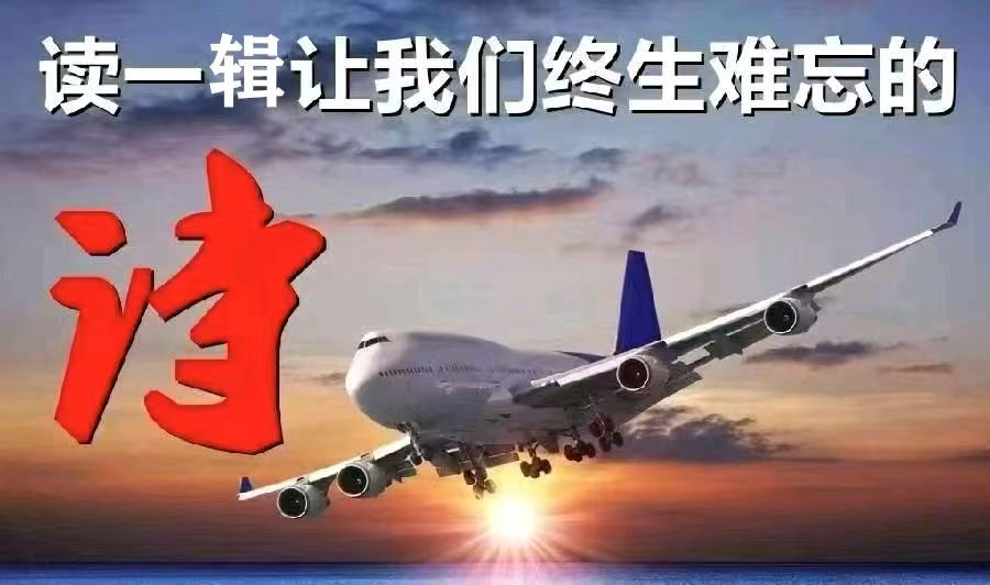 好诗闪耀世界名篇佳诵——『陆辉中华名家十支笔《迟来的拥抱》专刊鉴赏』（图2）