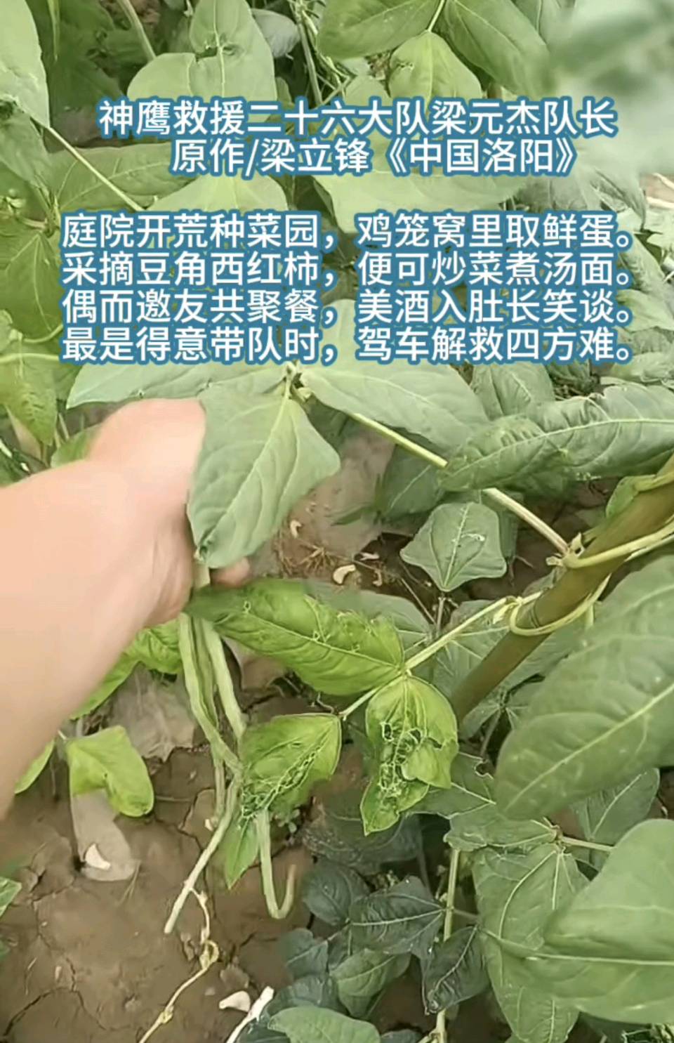 神鹰救援二十六大队梁元杰队长 原作/梁立锋