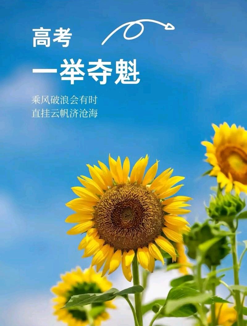 军旅作家韩春久《寄乙巳高考学子》（图5）