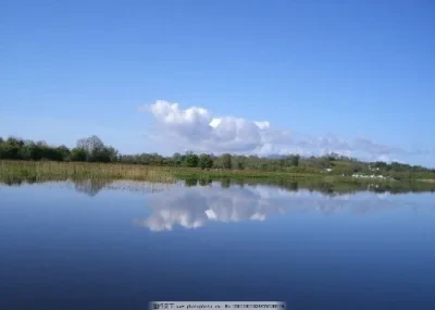 夏明江 千湖风韵 (十二)（图7）